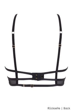 Bluebella - Calypso Wired Bra - Black -Exquisites Dessous-Geschäft BLUEBELLA CALYPSO BRA BLACK GOLD 3 1280x1280