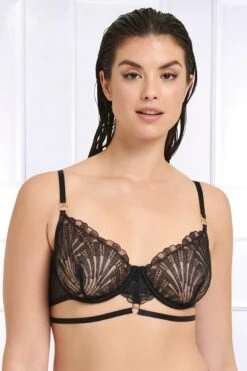 Bluebella - Wired Bra - Black
