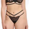 Bluebella - Hallie G-String - Black -Exquisites Dessous-Geschäft BLUEBELLA HALLIE THONG BLACK 3 1280x1280