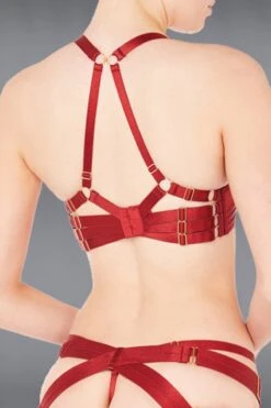 Bordelle Lingerie - Push Up Bra - Red -Exquisites Dessous-Geschäft BORDELLE LINGERIE SIGNATURES PUSH UP BRA RED 5 1280x1280
