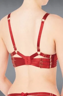 Bordelle Lingerie - Push Up Bra - Red -Exquisites Dessous-Geschäft BORDELLE LINGERIE SIGNATURES PUSH UP BRA RED 6 1280x1280