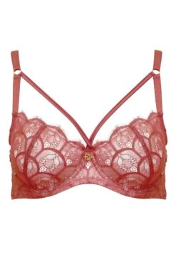 Escora - Diana Lace Bra - Rose Berry -Exquisites Dessous-Geschäft ESCORA DIANA BUGEL BH BERRY 5 1280x1280