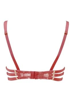 Escora - Diana Lace Bra - Rose Berry -Exquisites Dessous-Geschäft ESCORA DIANA BUGEL BH BERRY 6 1280x1280