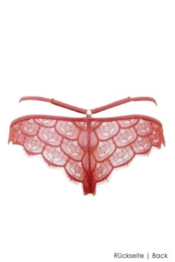 Escora - Diana Brazilian Briefs - Rose Berry 13 Escora - Diana Brazilian Briefs - Rose Berry -Exquisites Dessous-Geschäft ESCORA DIANA RIO SLIP BERRY 6 1280x1280