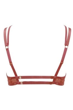 Escora - Diana Triangle Bra - Rose Berry -Exquisites Dessous-Geschäft ESCORA DIANA TRIANGEL BRA BERRY 6 1280x1280