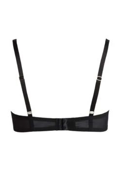 Escora - Amaya Wired Bra - Black Green -Exquisites Dessous-Geschäft escora amayo buegel bh 8 6382 1280x1280