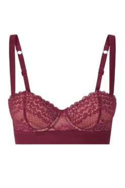 Heidi Klum Intimates - Balcony Bra - Delilah Dances