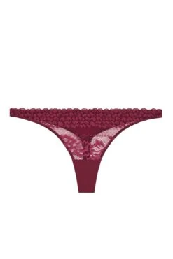 Heidi Klum Intimates - Thong - Delilah Dances