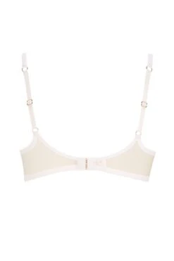 L Agent By AP - Lusina Lace Bra - Ivory 11 L Agent By AP - Lusina Lace Bra - Ivory -Exquisites Dessous-Geschäft l agent by ap lusina l170 11 spitzen bh ivory 5 4270 1280x1280
